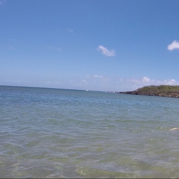 Meet your Posher, Anya - Picture 1 of 1